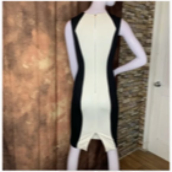 BEBE Color Block Black and White Bodycon Dress - Picture 5 of 5